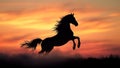 A Majestic Wild Horse Silhouette Rearing Up in a Beautiful Sunset or Sunrise Landscape (Freedom Symbol Metaphor) Royalty Free Stock Photo