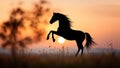 A Majestic Wild Horse Silhouette Rearing Up in a Beautiful Sunset or Sunrise Landscape (Freedom Symbol Metaphor) Royalty Free Stock Photo