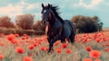 A Beautiful Black Horse in a Green Lawn in a Meadow With Wild Red Roses Royalty Free Stock Photo