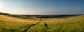 Stunning countryside panorama landscape wheat field in Summer sunset Royalty Free Stock Photo