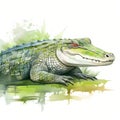 Detailed Crocodile Watercolor Clipart For Digital Painting And Paper Crafting