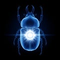 Glowing Scarab Beetle 3d Render Royalty Free Stock Photo