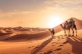 A stunning desert landscape image featuring the golden dunes of the nearby Sahara Desert, with a camel caravan in the distance, Royalty Free Stock Photo