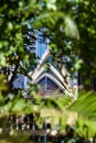 Stunning detail view of the Sydney Opera House and its architectural features seen through blurred bushes