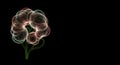 Ethereal fractal flower glows against dark abyss Royalty Free Stock Photo