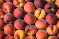 A stunning display of ripe peach fruit in foodgraphy