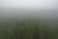 A stunning drone photo of a summer forest shrouded in thick fog. The mist creates a serene and tranquil setting, with an Royalty Free Stock Photo