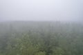 A stunning drone photo of a summer forest shrouded in thick fog. The mist creates a serene and tranquil setting, with an Royalty Free Stock Photo