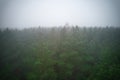 A stunning drone photo of a summer forest shrouded in thick fog. The mist creates a serene and tranquil setting, with an Royalty Free Stock Photo