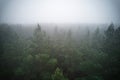 A stunning drone photo of a summer forest shrouded in thick fog. The mist creates a serene and tranquil setting, with an Royalty Free Stock Photo