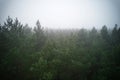 A stunning drone photo of a summer forest shrouded in thick fog. The mist creates a serene and tranquil setting, with an Royalty Free Stock Photo