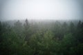 A stunning drone photo of a summer forest shrouded in thick fog. The mist creates a serene and tranquil setting, with an Royalty Free Stock Photo