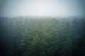 A stunning drone photo of a summer forest shrouded in thick fog. The mist creates a serene and tranquil setting, with an Royalty Free Stock Photo