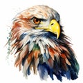 Detailed Eagle Watercolor Clipart For Digital Painting And Paper Crafting