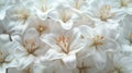 Easter Lily Bouquet: Spring Floral Background with Space for Text