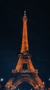 Stunning Eiffel at Night
