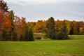 Stunning fall colors and trees at the edge of a green field