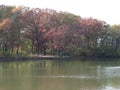 Stunning Fall Scene of Autumn Colored Trees Lining Lake, Bright Blue Sky with Streaking Clouds All Reflected in Calm Water Calm Royalty Free Stock Photo