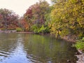 Stunning Fall Scene of Autumn Colored Trees Lining Lake, Bright Blue Sky with Streaking Clouds All Reflected in Calm Water Calm Royalty Free Stock Photo