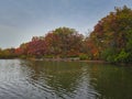 Stunning Fall Scene of Autumn Colored Trees Lining Lake, Bright Blue Sky with Streaking Clouds All Reflected in Calm Water Calm Royalty Free Stock Photo