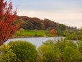 Stunning Fall Scene of Autumn Colored Trees Lining Lake, Bright Blue Sky with Streaking Clouds All Reflected in Calm Water Calm Royalty Free Stock Photo