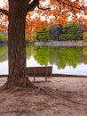 Stunning Fall Scene of Autumn Colored Trees Lining Lake, Bright Blue Sky with Streaking Clouds All Reflected in Calm Water Calm Royalty Free Stock Photo