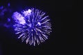 Stunning fireworks blue flowers on the night sky. Brightly fireworks on dark black color background. Holiday relax time with Royalty Free Stock Photo