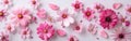 Pretty in Pink: Flat Lay Composition of Pink Flowers on White Background Royalty Free Stock Photo