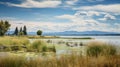 Stunning Flathead Lake Wetland View