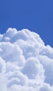 Fluffy White Cumulus Clouds Floating on Vivid Blue Sunny Sky