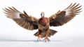 Stunning Flying Turkey Photo: Polixeni Papapetrou Inspired Artwork