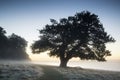 Stunning foggy Autumn Fall sunrise landscape over frost covered Royalty Free Stock Photo