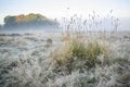 Stunning foggy Autumn Fall sunrise landscape over frost covered Royalty Free Stock Photo