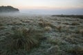 Stunning foggy Autumn Fall sunrise landscape over frost covered Royalty Free Stock Photo