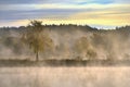 Stunning foggy Autumn morning . Amazing Lithuania nature