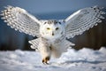Stunning front view of snowy owl with open wings. Amazing wild life. Generative Ai