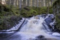 Stunning Frozen Hassafallen Waterfall in Wintry Rural Woodlands