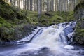 Stunning Frozen Hassafallen Waterfall in Wintry Rural Woodlands Royalty Free Stock Photo