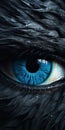 Stunning Game Of Thrones Eyes Wallpaper: Hyperrealistic, Detailed Feather Rendering