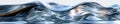 Geometric Abstraction: 3D Rendered Looping Animation
