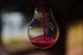 Stunning glass bulb containing red liquid water Royalty Free Stock Photo