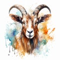 Watercolor Splats Goat High Detailed, Elegant Brushstrokes In Light Azure And Dark Amber