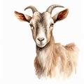 Detailed Dappled Goat Watercolor Clipart For Digital Painting And Paper Crafting