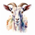 Detailed Dappled Goat Watercolor Clipart For Digital Painting And Paper Crafting