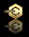 stunning golden hexagonal elegant icon