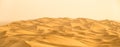 Stunning golden sand dunes