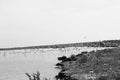 Stunning grayscale shot of a gull colony flying over a calm seawater surface Royalty Free Stock Photo