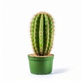 Stunning Green Cactus In A Colorized National Geographic Style Photo