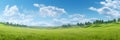 Stunning Green Flat Meadow A Low Angle Shot Background for Presentations