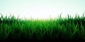 Stunning Green Grass Field Silhouette A Versatile Vector Graphic Ideal for Creative Compositing Projects and Design Royalty Free Stock Photo